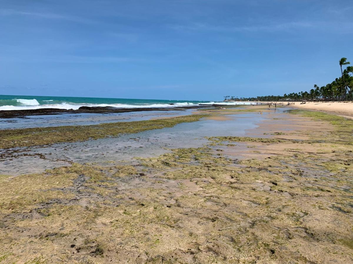 Flat Beach Class Muro Alto Pôrto das Galinhas Buitenkant foto